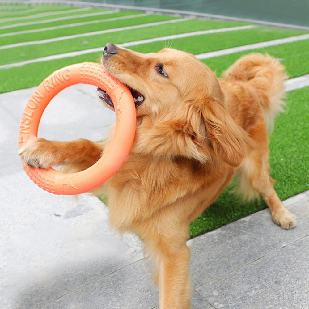 Tirador de anillo de entrenami - Indestructible Dog Chew Toy reseña y precio