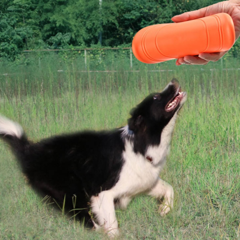 Disco Volador de Goma Blanda M - Flying Disc Dog Training Toy reseña y precio