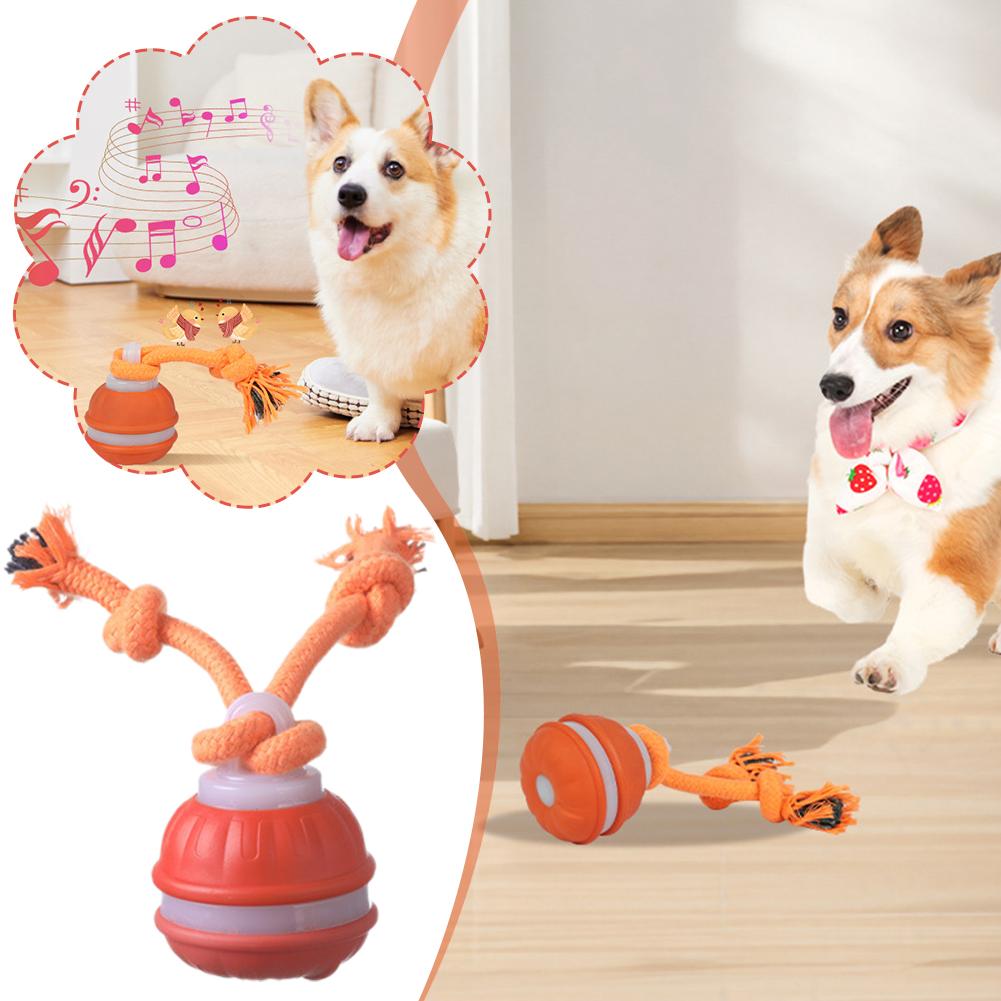 Bola de perro recargable intel - Automatic Moving Dog Ball reseña y precio