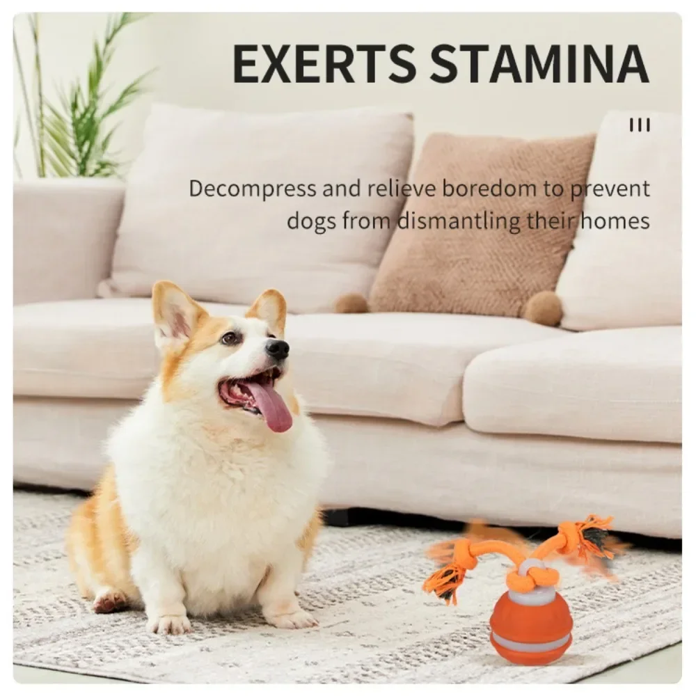 Pelota para mascotas, juguete  - Automatic Moving Dog Ball reseña y precio