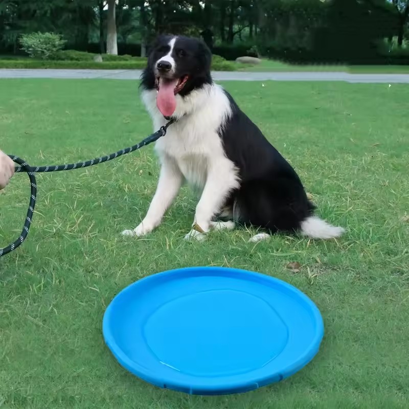 Juguete Interactivo de Silicon - Flying Disc Dog Training Toy reseña y precio