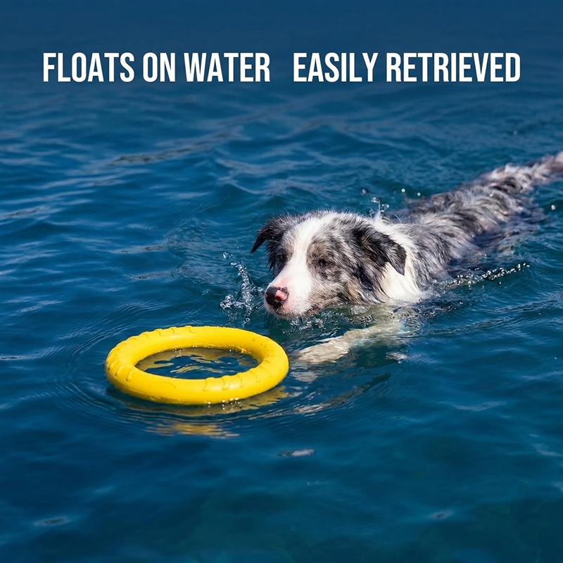 Juguetes para perros, discos v - Flying Disc Dog Training Toy reseña y precio