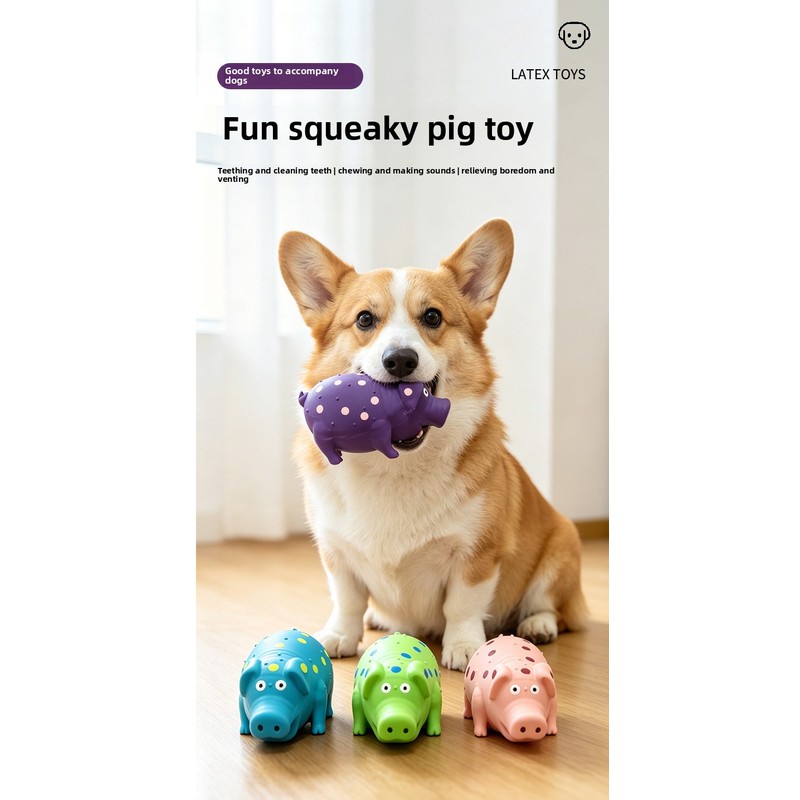 Frisbee Flotante de Silicona p - Flying Disc Dog Training Toy reseña y precio