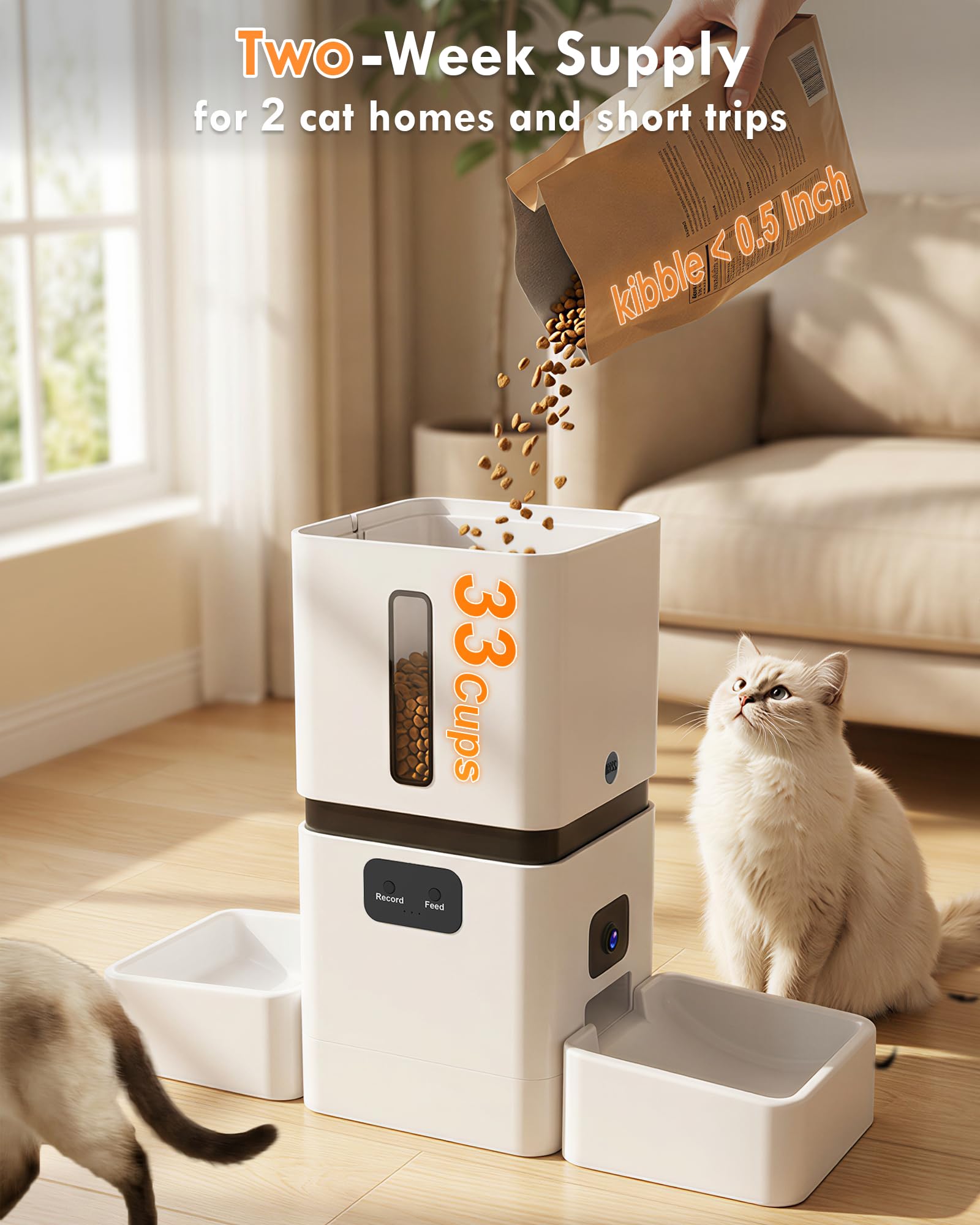 Comedero Automático Inteligent - Pet Feeders reseña y precio