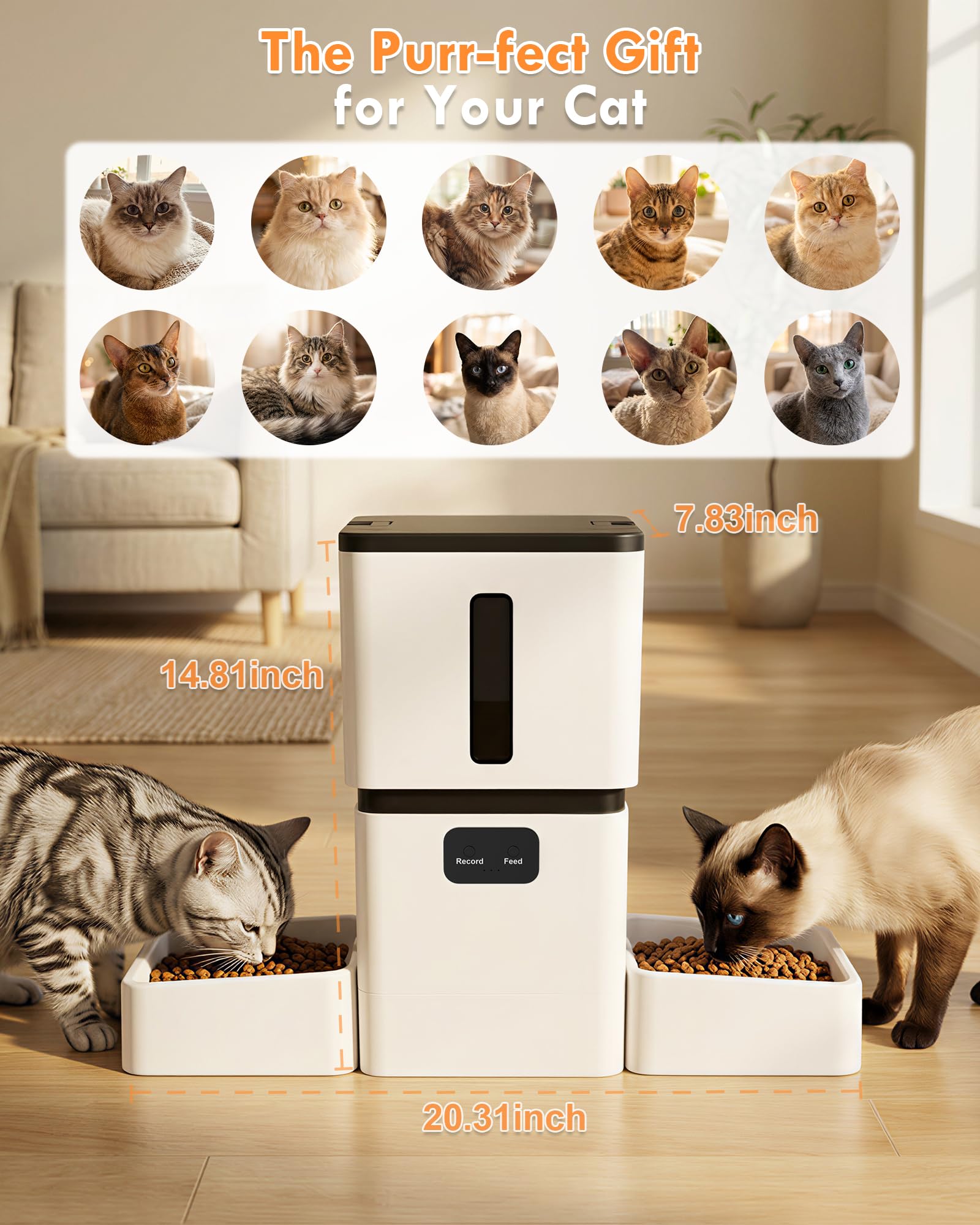 Comedero Automático Inteligent - Pet Feeders reseña y precio