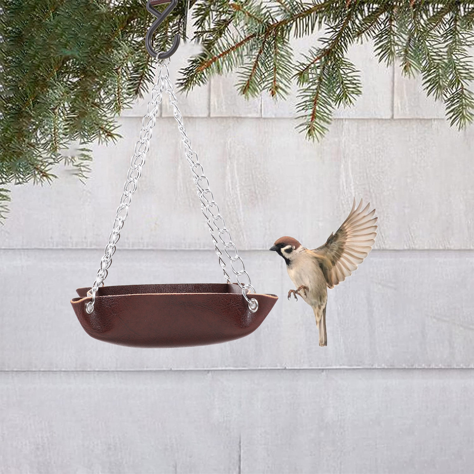 Comedero para pájaros, transpa - Pet Feeders reseña y precio